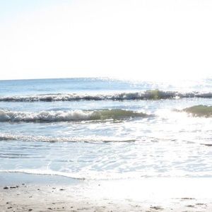 Meet your Posher, Joshua